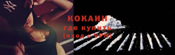 мяу мяу мука Ельня