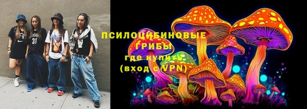 mdpv Елабуга